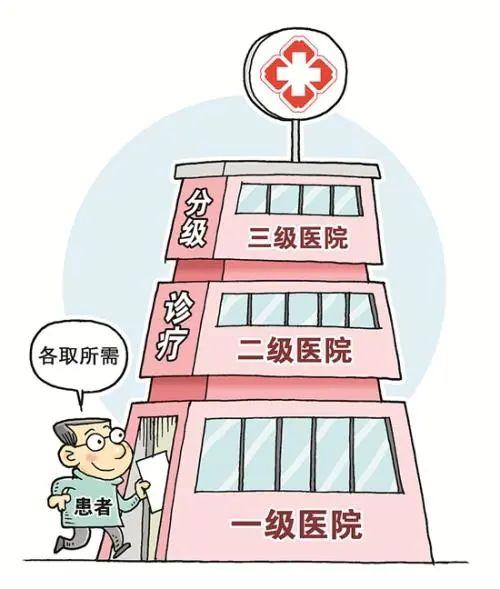 瑞安最新疫情动态，学习变化中的力量，自信成就未来