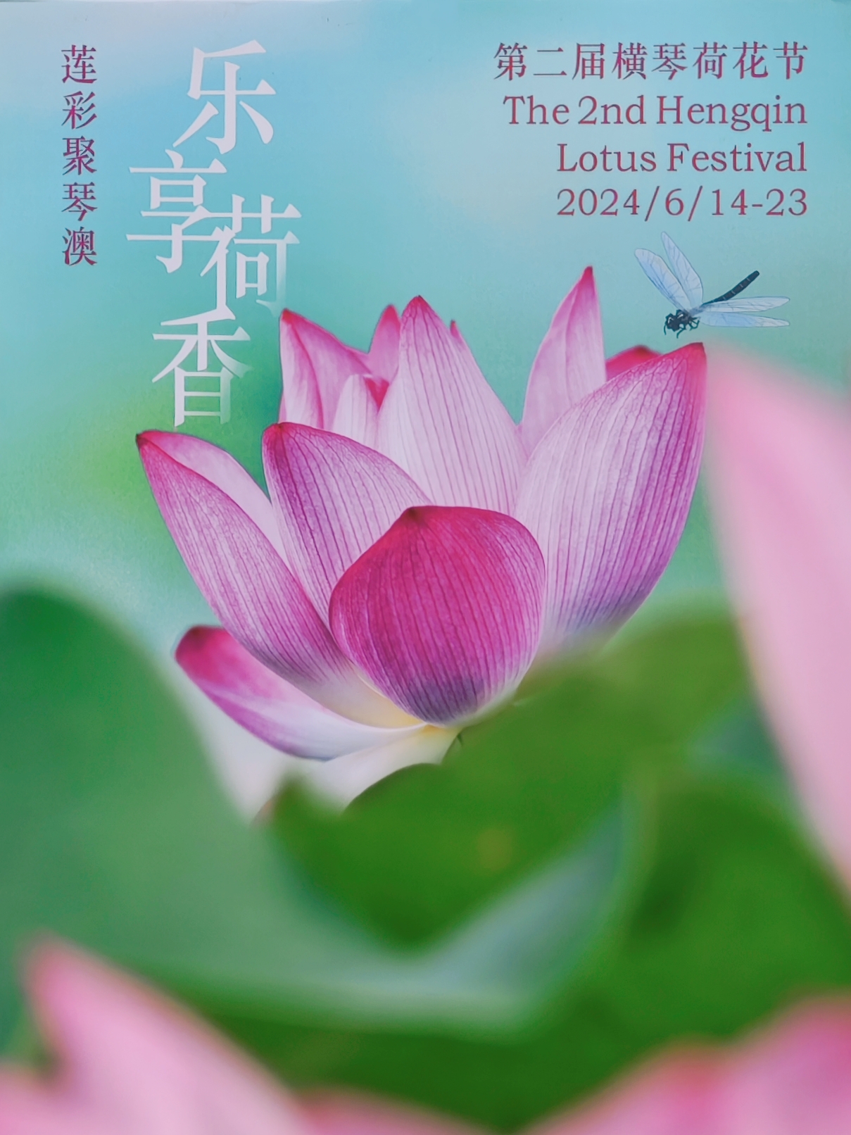 荷花论坛最新动态，变化中的学习之旅，自信与成就感的培育地